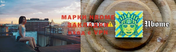 прущие грибы Абаза