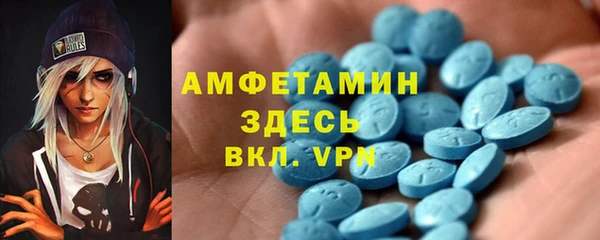прущие грибы Абаза