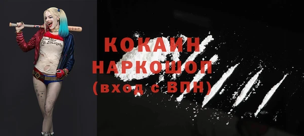 ALPHA PVP Няндома