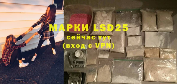 прущие грибы Абаза