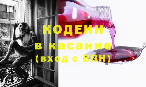 прущие грибы Абаза