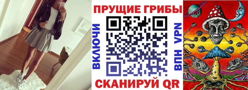 цена   Кораблино  Псилоцибиновые грибы GOLDEN TEACHER 